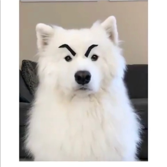 poshdigger